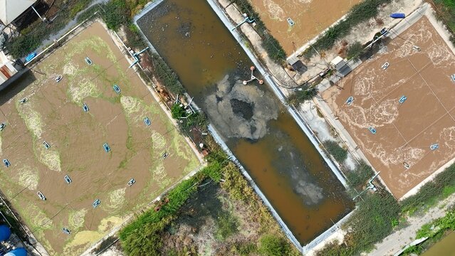 The layout shows a modular wastewater treatment design with parallel ponds and a central sludge channel, promoting efficient flow and contaminant breakdown.
