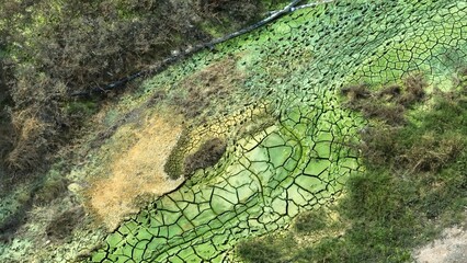 Cracked soil with unnatural green crust and patchy vegetation hints at high salinity or heavy metal...