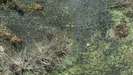 Aerial view drone shows signs of polluted soil, with algae blooms, dry patches, and abnormal colorations suggesting hazardous chemical seepage.
