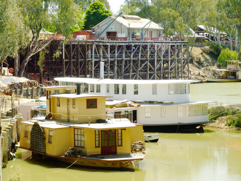 Restored paddle steamers sitting in a river below a wooden wharf