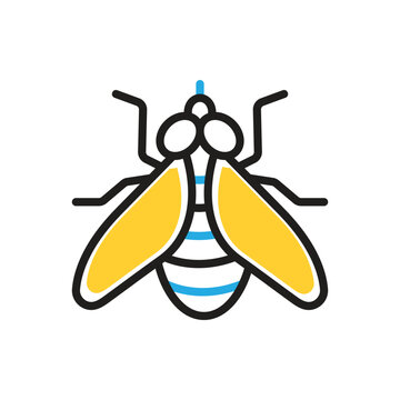 Multi color icon for fly