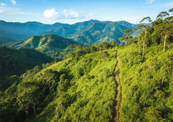 Fototapeta premium nature