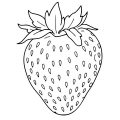 strawberry vector icon, outline edition