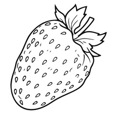 strawberry vector icon, outline edition