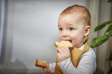 Toddler enjoys a slice of bread while sitting in a high chair during a bright indoor setting