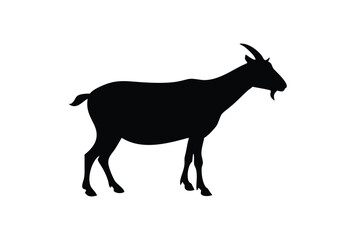 Obraz premium goat on white background