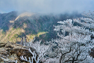 雪山の風景