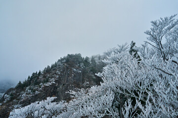 雪山の風景