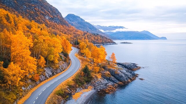 winding coastal highway