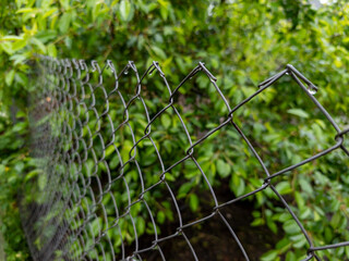 The grid fence with drops of water on it