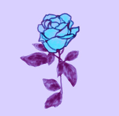 beautiful rosebud, watercolor illustration. hand drawing
