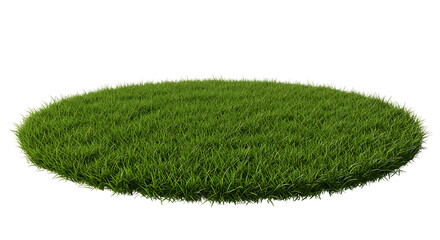 Lush green grass patch forming a circular mound viewed from a low angle
