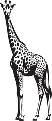 Naklejka premium giraffe vector illustration