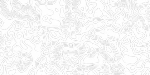 Abstract minimal The patter discovery vector topo map creative discovery White wave grid stripe line map topography. vector geographic contour mounted map background.	