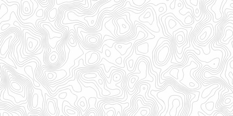 Abstract minimal The patter discovery vector topo map creative discovery White wave grid stripe line map topography. vector geographic contour mounted map background.	