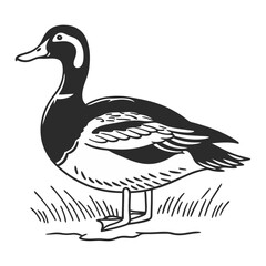 Minimal Duck Illustration Vector Illustration