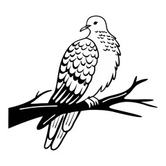 Dove Bird in Motion Vector Illustration