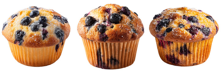 Set of delicious blueberry muffin cake isolated on a transparent background