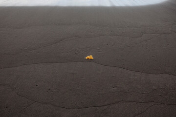 Smooth black volcanic sand with subtle wave-shaped lines, creating a minimal abstract texture useful for backgrounds or design purposes.