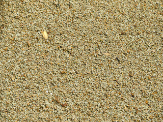 Close-up of natural beach sand texture with fine grains. Ideal for backgrounds, nature themes,...