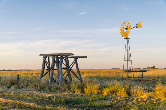 A windmill and old wooden tank stand in a paddock.