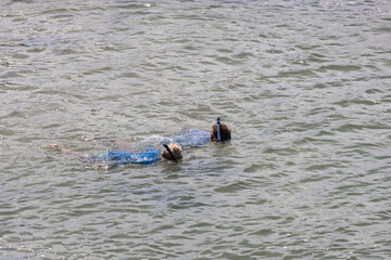 Fototapeta premium Two teenage boys snorkeling in the ocean on the Gold Coast during summer vacation in blue rashies