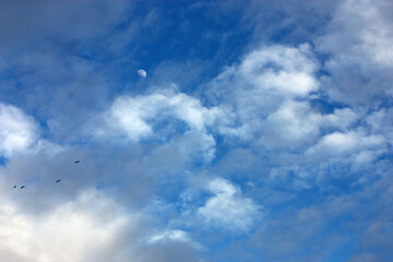 Cloudy Sky with Visible Moon and Flying Birds – Ideal for Nature, Weather, and Freedom Concepts