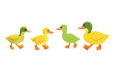 Group of Ducklings Walking Illustration