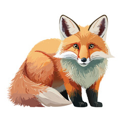 red fox vulpes