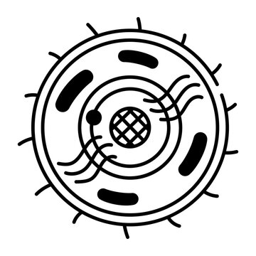 A doodle style icon of human nucleus
