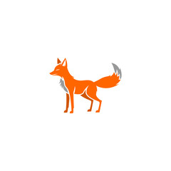 red fox isolated on white