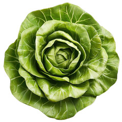 Fototapeta premium Fresh, vibrant cabbage leaves form beautiful, intricate pattern, showcasing their rich green color and natural texture. This captures essence of healthy, organic produce