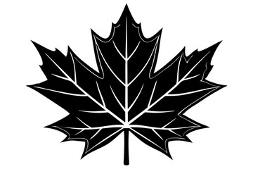 Fototapeta premium Elegant Black and White Maple Leaf Illustration, maple, leaf, black, white, design, autumn, graphics, visual, aesthetic, stock, clipart, lines, canada, clip, download, sketch, stylish, free, artwork, 