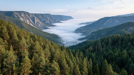 Misty valley nestled amongst forested mountain ranges.