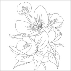 Outline Black and White Handdrawing Illustration Flower and Leaf. Coloring Pages for Kid and Adult