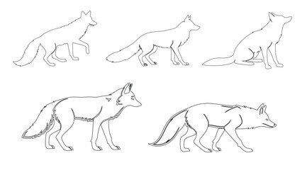 set of fox outline