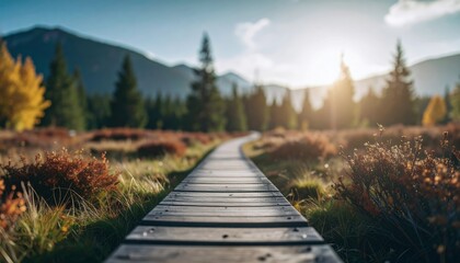 Fototapeta premium Panoramic autumn landscape with wooden path at sunset