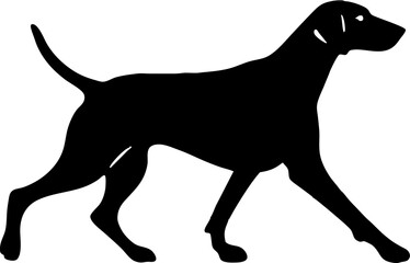 black silhouette of a dog