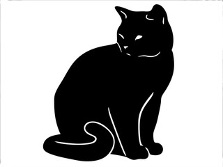 black cat on white background
