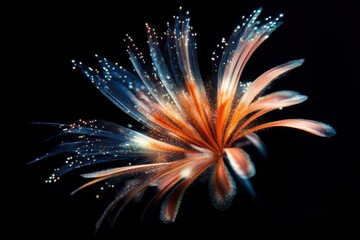 Colorful fireworks display on black background creating a festive atmosphere. A colorful flower with many petals and a lot of sparkles.
