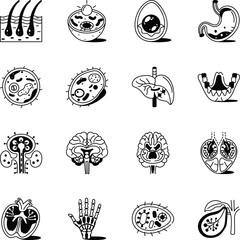 Set of Anatomy Doodle Style Icons
