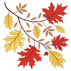 autumn leaves background