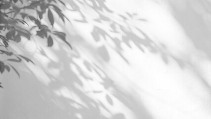 Obraz premium Abstract background texture