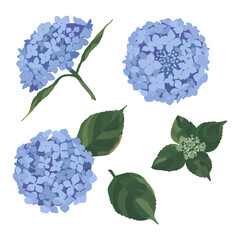 アジサイのイラスト素材	(青)