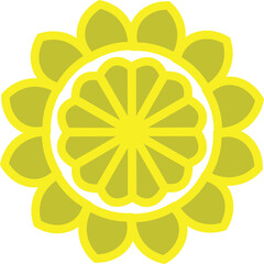 yellow flower on white background