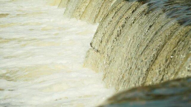 Latvian river fish soar upstream over Ventas Rumba in rare springtime phenomenon