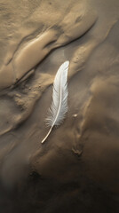 Single white feather resting on textured wet sand surface minimalist natural background top view