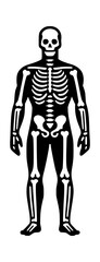 Man Skeleton Full Body Vector Logo