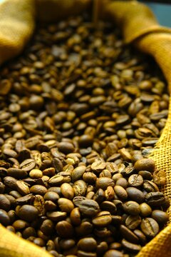 Close up coffee beans for coffee background. Biji kopi