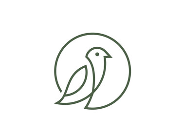 vector illustration of a bird